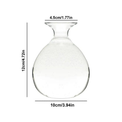 Glass Avocado Seed Starter Vase Kit - 02 / CHINA - Vase