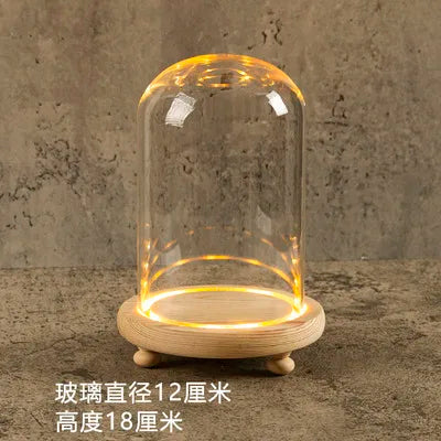 Glass Bell Jar Terrarium with LED Light - 12X18CM - Vase