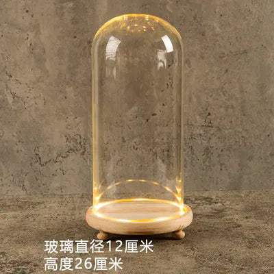 Glass Bell Jar Terrarium with LED Light - 12X26CM - Vase