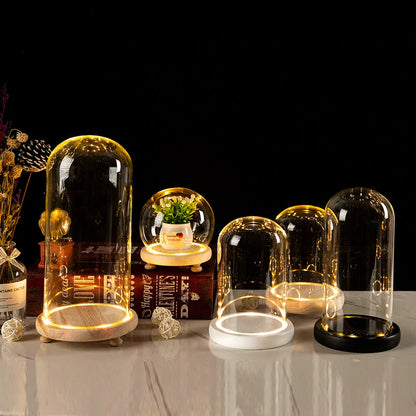 Glass Bell Jar Terrarium with LED Light - Vase