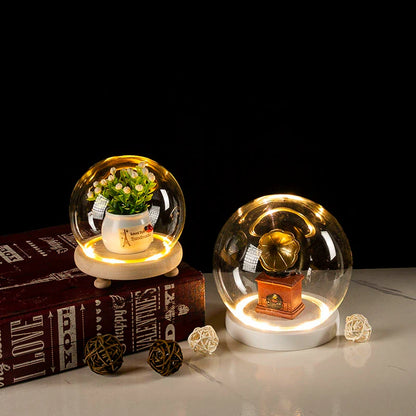 Glass Bell Jar Terrarium with LED Light - Vase