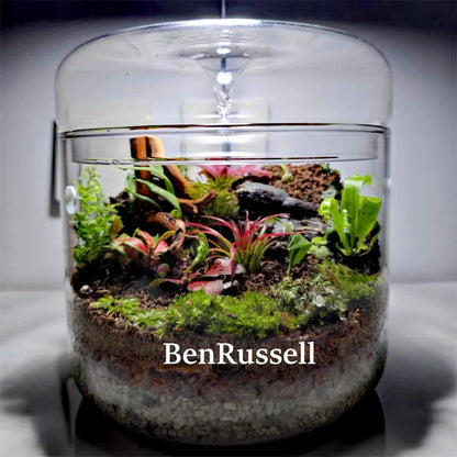 Glass Bottle Terrarium Kit - Vase