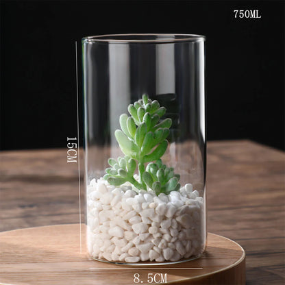 Glass Hydroponic Desktop Planter Vase - 8.5x15cm - Vase