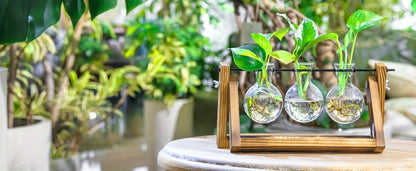 Glass Planter Propagation Station with Wooden Rack - Vase