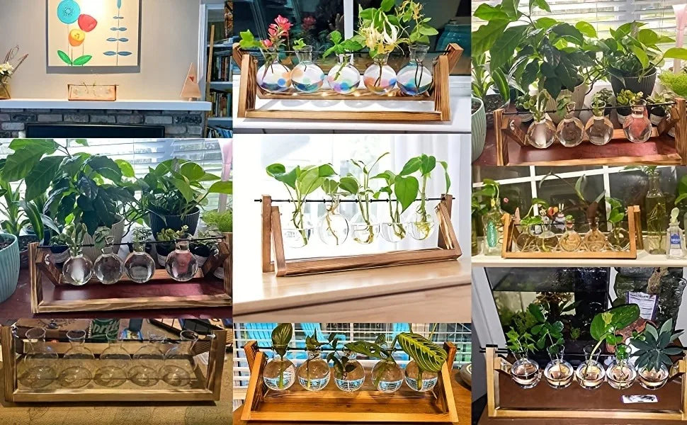 Glass Planter Propagation Station with Wooden Rack
