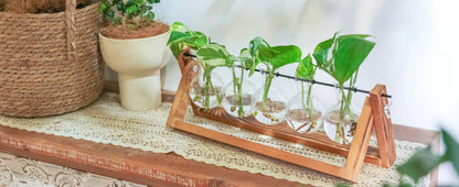 Glass Planter Propagation Station with Wooden Rack - Vase