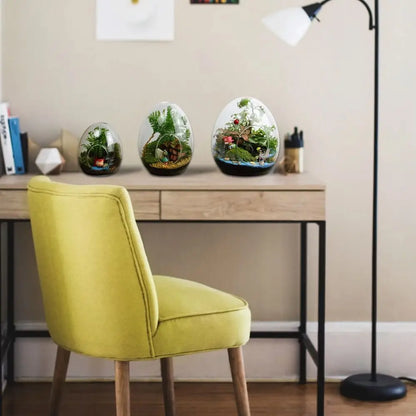 Glass Succulent Egg-shaped Terrarium - Vase