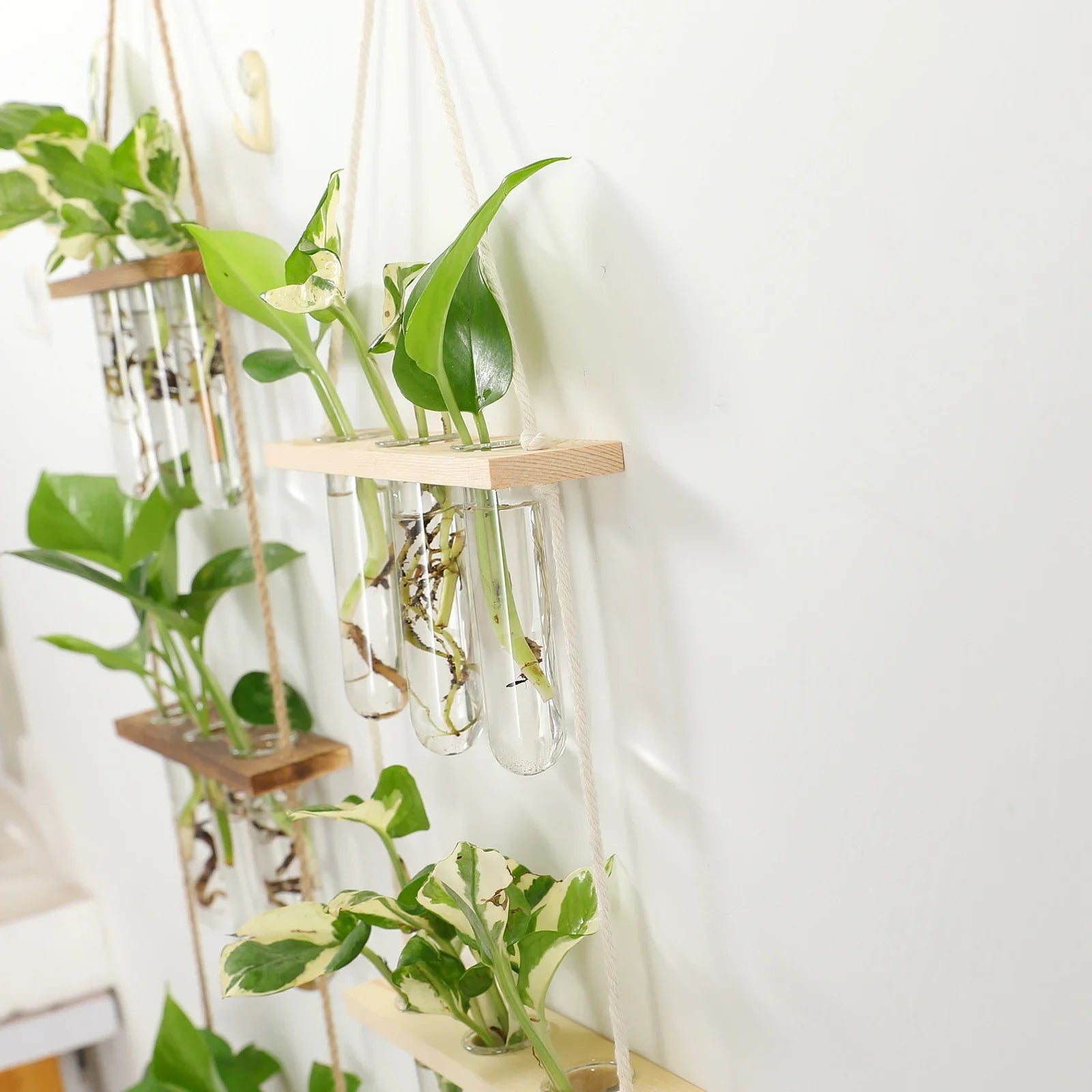 Glass Wall Hanging Planters with Wooden Holder - Vase