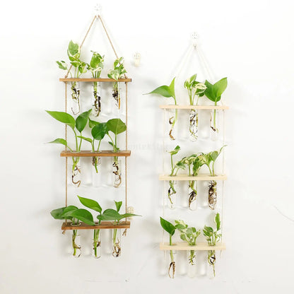 Glass Wall Hanging Planters with Wooden Holder - Vase