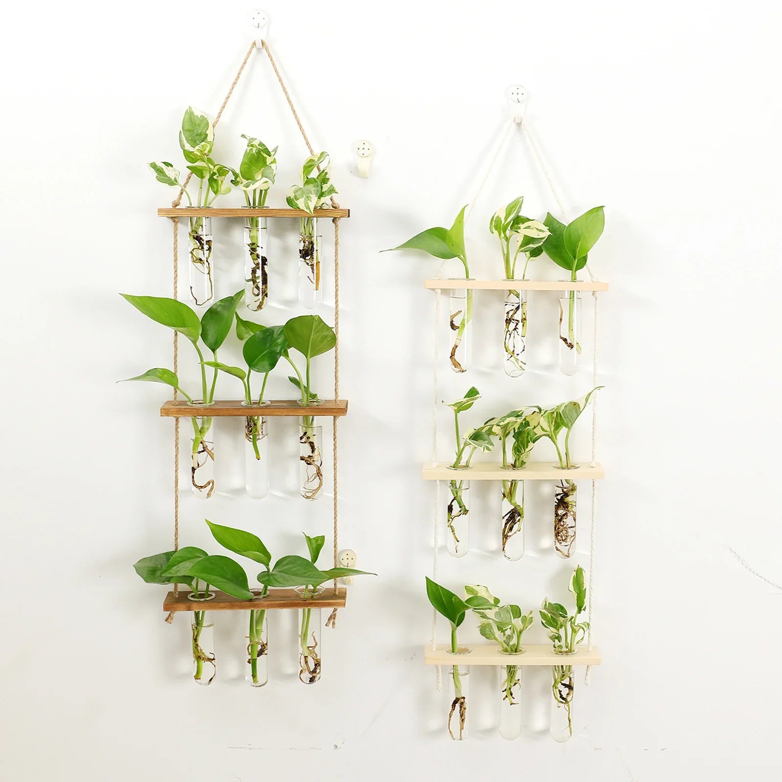 Glass Wall Hanging Planters with Wooden Holder - Vase