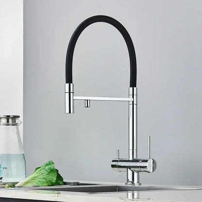 Modern chrome and black water purification mixer tap with dual spout and flexible rubber hose for kitchen use