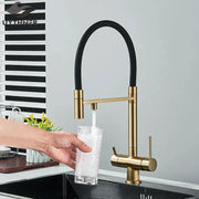 Gold and black dual spout water purification mixer kitchen tap with flexible hose and dual handles for efficient use