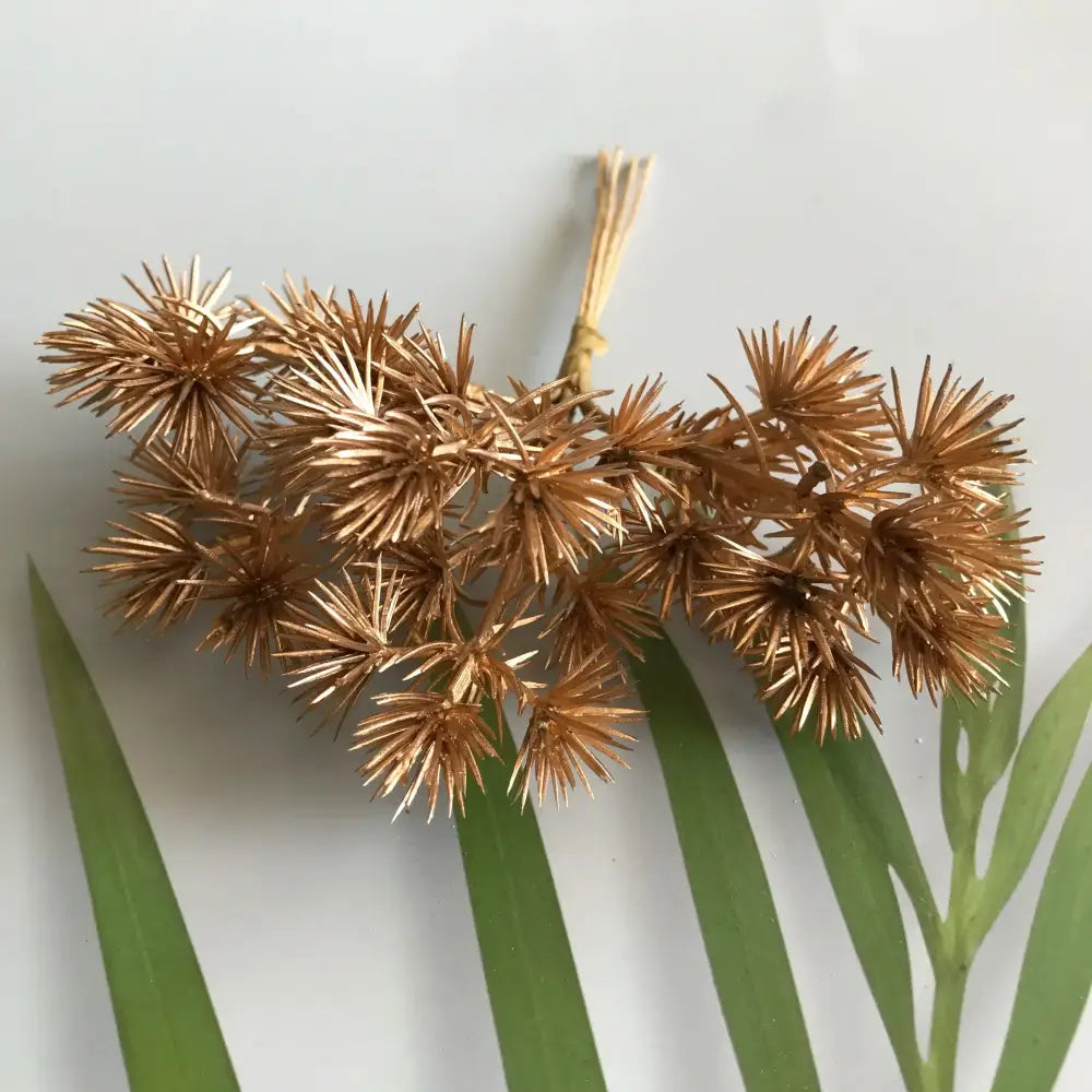 Golden metallic berry stamen green plant with spiky dried flower cluster and rustic twine stem for decorbites green plant decor