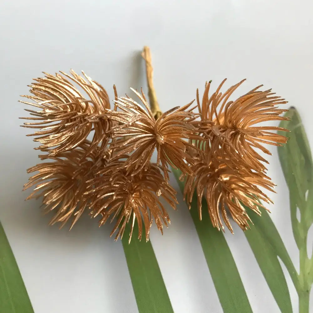 Golden metallic pinecone cluster with spiky radiating bracts and slender stem for decorbites green plant berry stamen decor