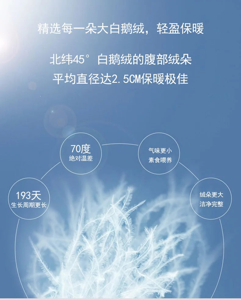 White goose down feathers with 2.5cm diameter from northern latitude 45° for goose down soft duvet luxury blanket