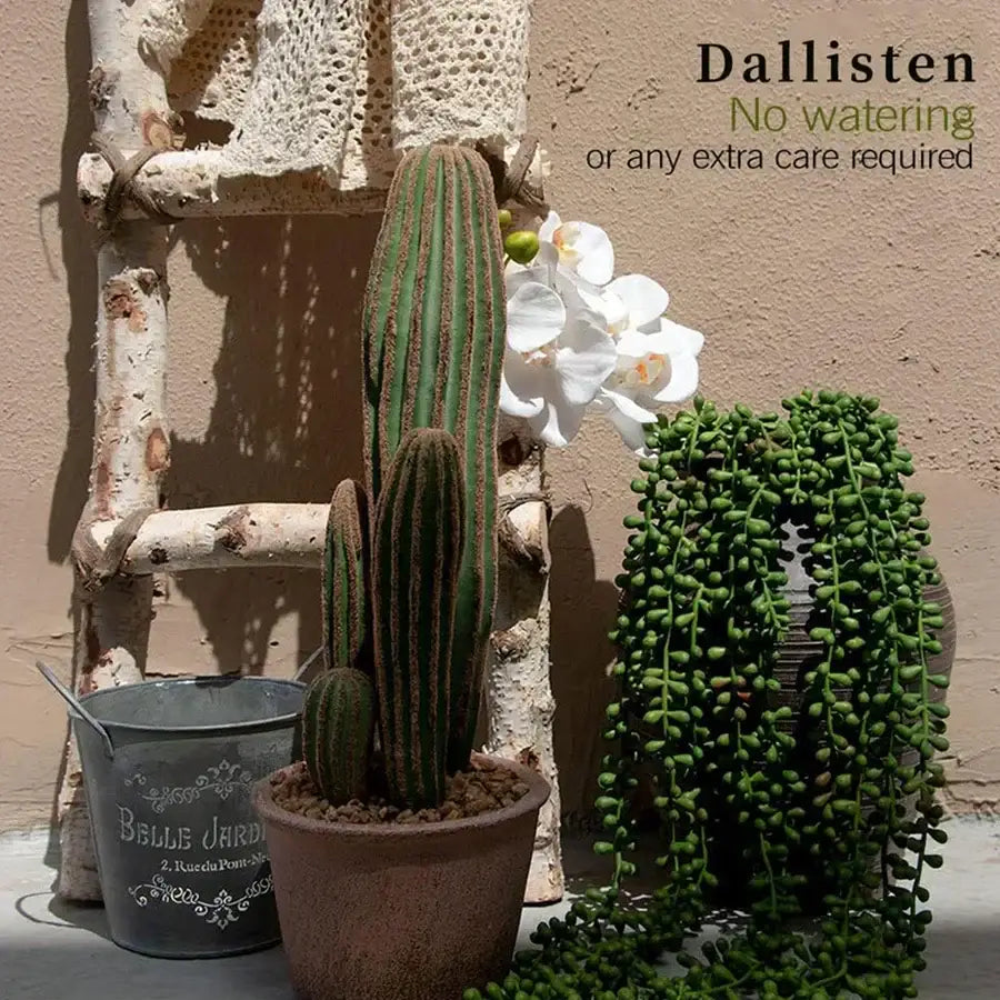 Green artificial fern vine with tall green cactus featuring vertical ridges and brownish spines in terracotta pot