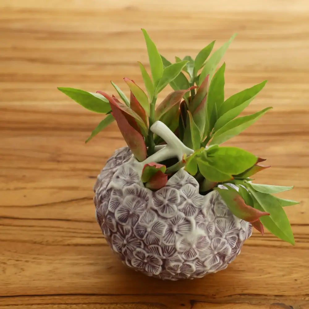 A grayish-white textured decorbites hydrangea ceramic vase with floral embossing holding green and reddish leaves