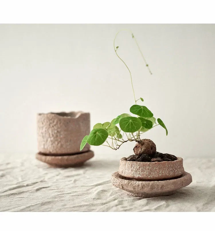 Handcrafted Ceramic Vase for Flowers - Vase