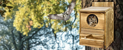 Handmade Wooden Screech Owl House - Outdoor Nesting Box