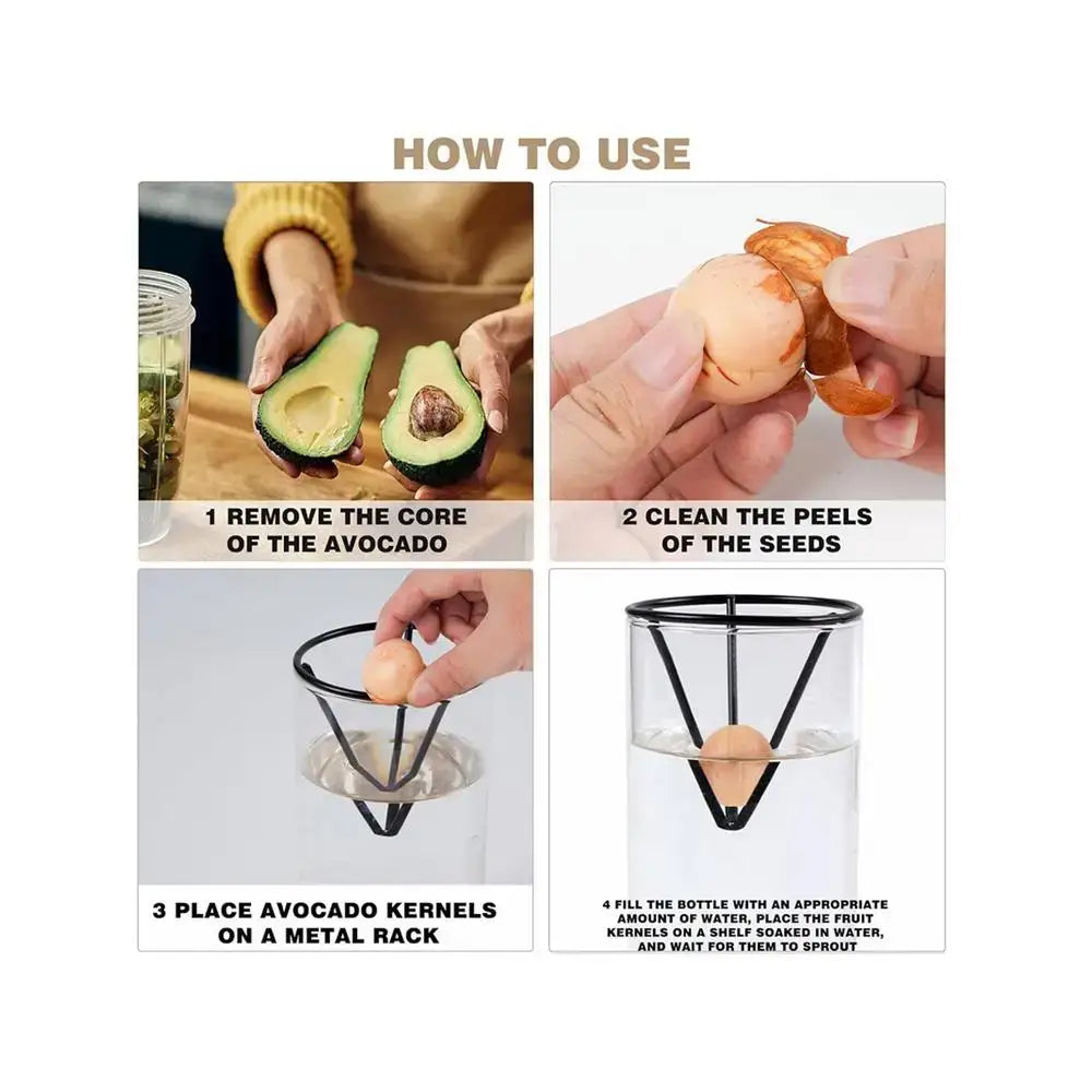 Black metal avocado seed sprouter with conical design and three bars for hydroponic avocado planting set with clear glass