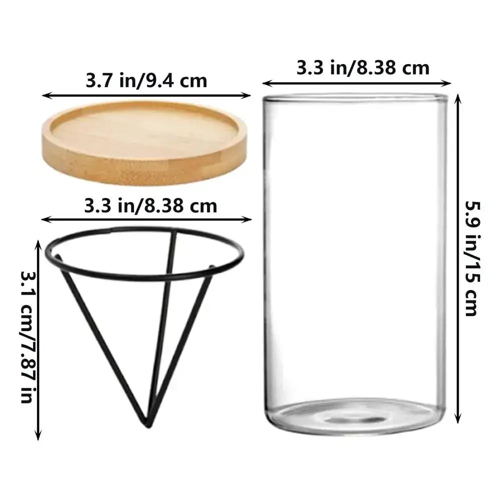 Clear glass cylindrical jar with light wood lid and black metal cone stand for hydroponic avocado planting use