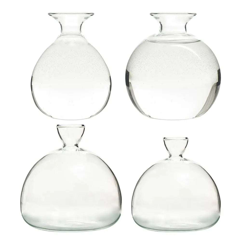 ’Hydroponic Avocado Seed Cultivation Vase’ - Vase