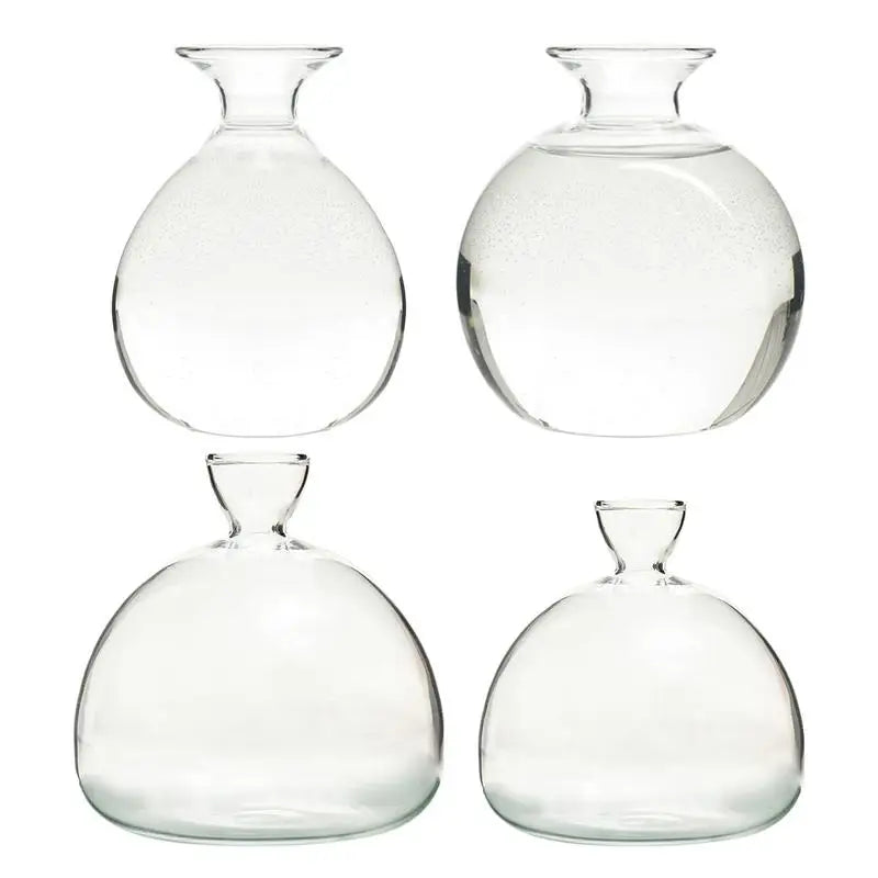 ’Hydroponic Avocado Seed Cultivation Vase’ - Vase