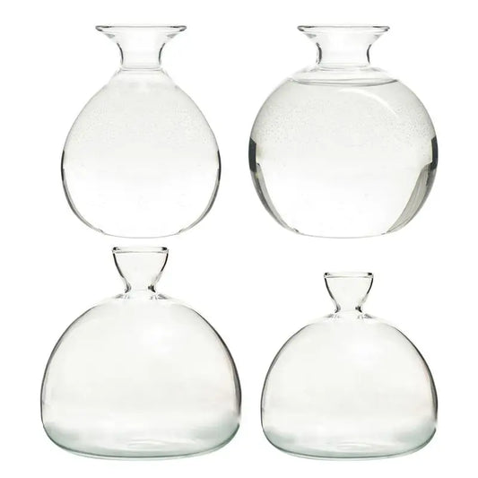 ’Hydroponic Avocado Seed Cultivation Vase’ - Vase