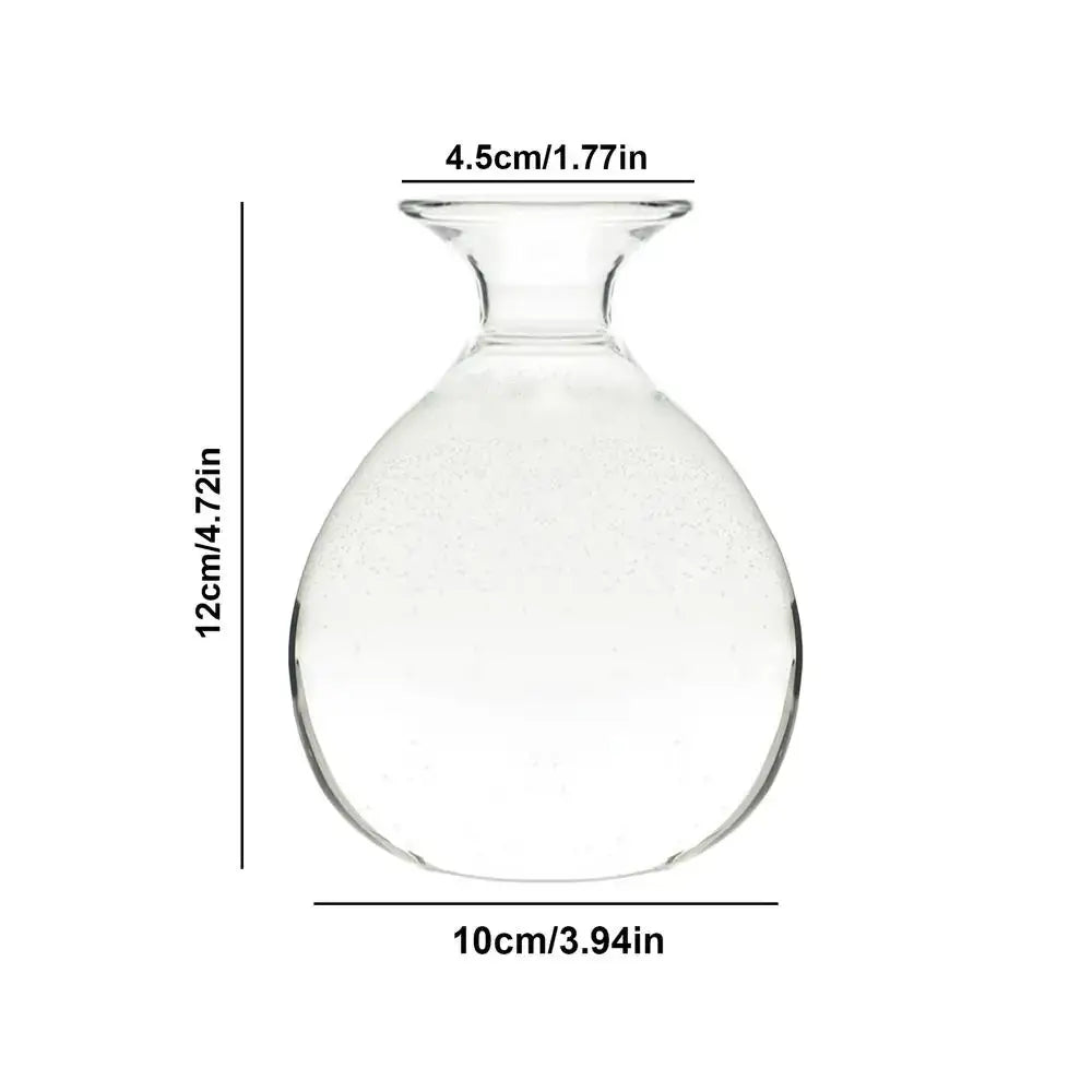 Clear glass hydroponic avocado seed vase with rounded body and narrow neck for seed cultivation
