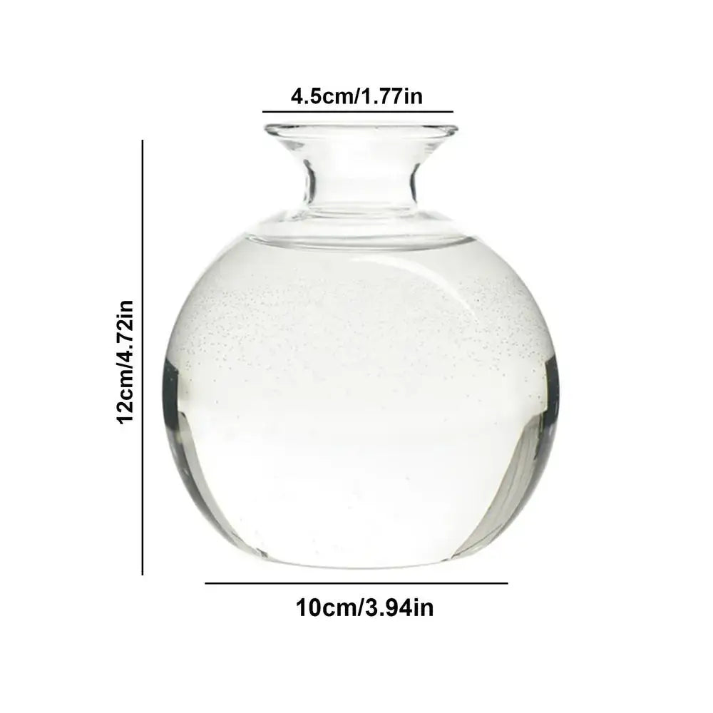Clear glass hydroponic avocado seed vase with rounded body and narrow neck for seed cultivation measuring 12cm tall