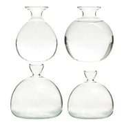 Set of four clear glass hydroponic avocado seed vases with rounded bodies and narrow necks for seed cultivation