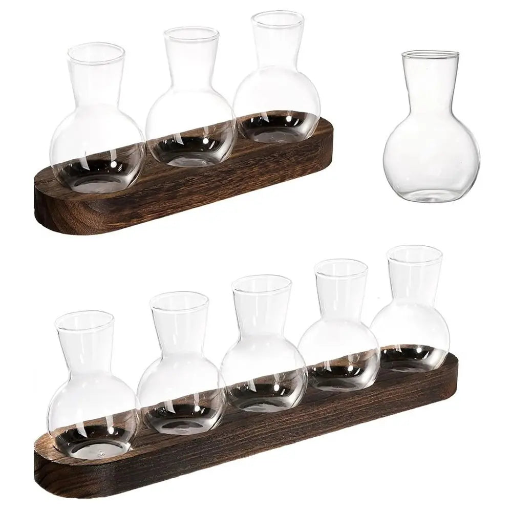 Hydroponic Glass Vase with Wooden Tray