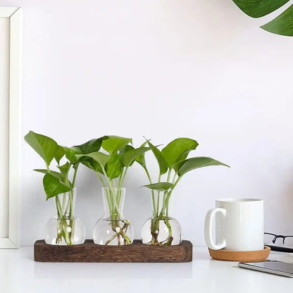 Hydroponic Glass Vase with Wooden Tray - Vase