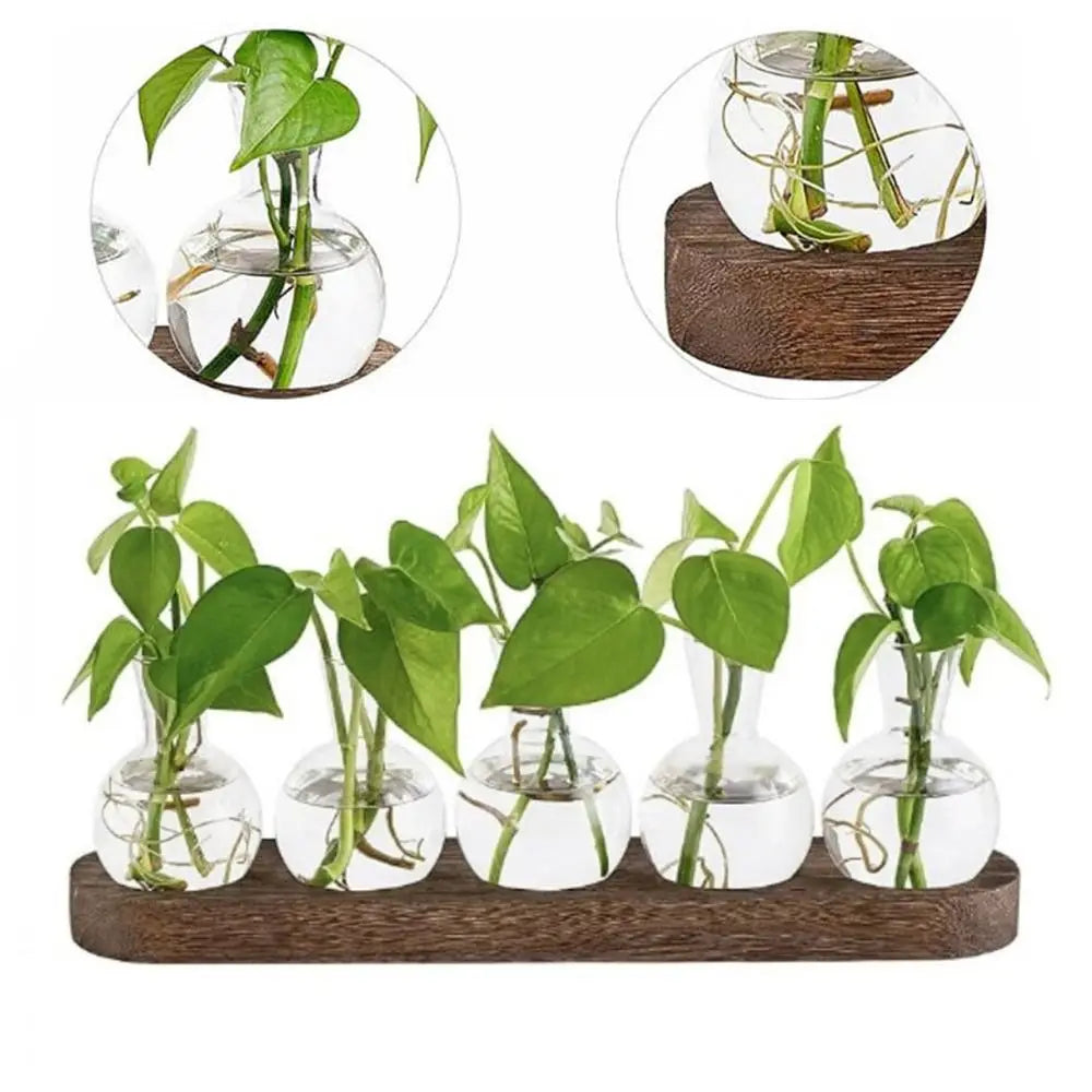 Hydroponic Glass Vase with Wooden Tray - Vase