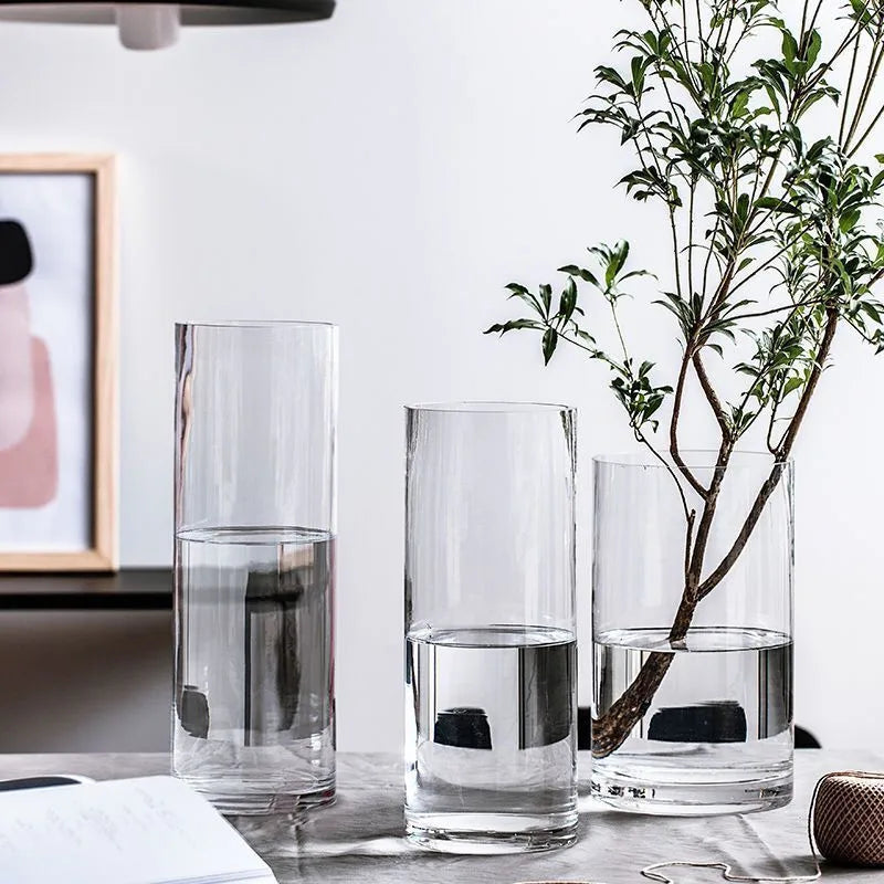 Three clear glass cylinder vases with hydroponic plants filled with water for desktop home decoration