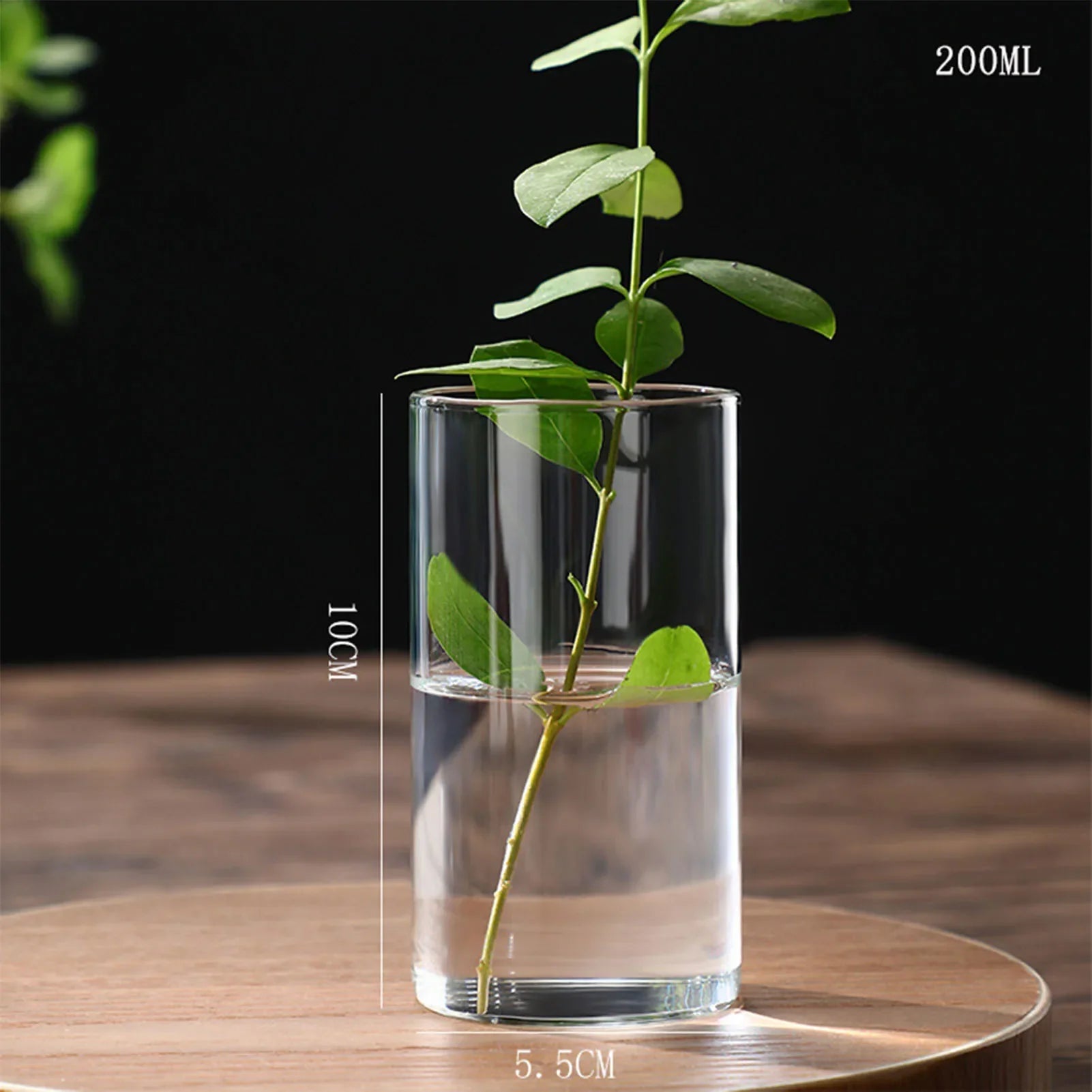 Clear glass cylindrical hydroponics planter vase with a green plant stem for desktop home decoration