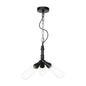 Industrial Amber/Clear Glass Hanging Chandelier with LED Lights for Dining Room - 2/3/4 Heads in Black Finish