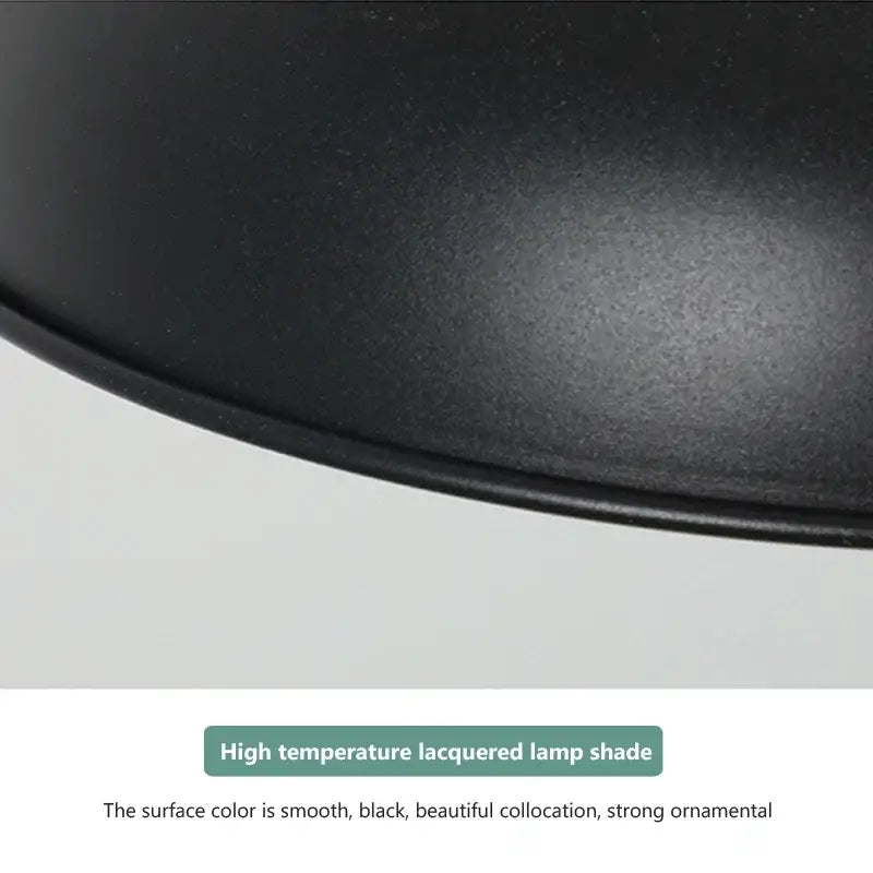 Black high-temperature lacquered industrial pendant light with matte finish for electric food heating use