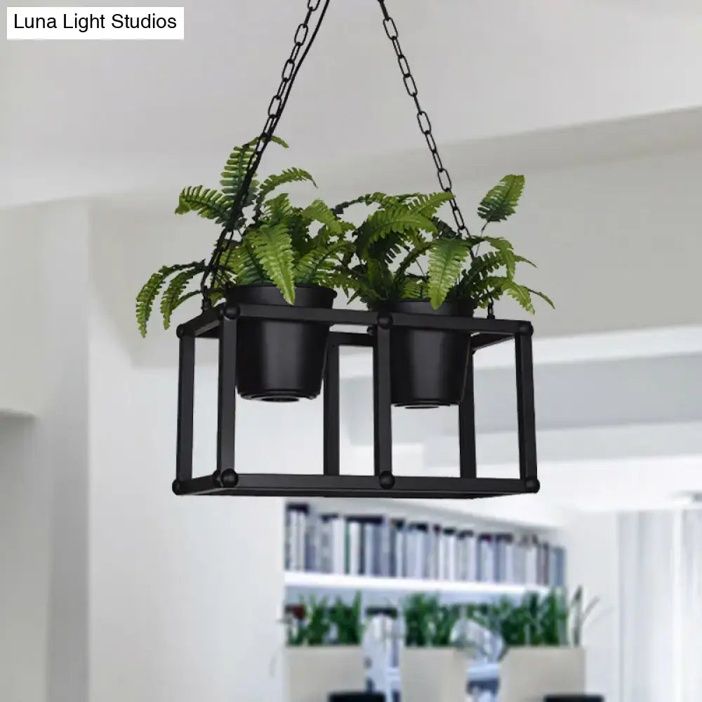 Black metal industrial rectangle island light fixture with two green ferns in matching black hanging plant pots
