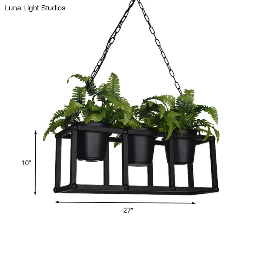 Black metal industrial rectangle island light fixture with three green ferns in hanging black metal pots