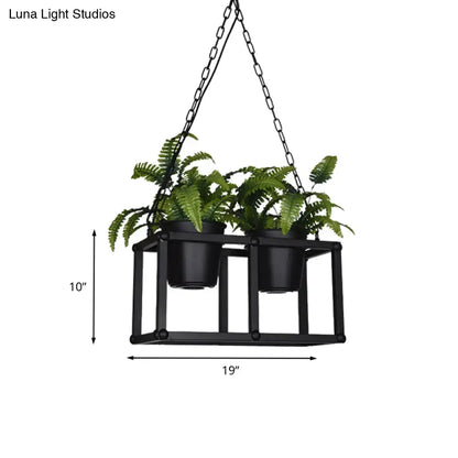 Black metal industrial rectangle island light fixture with hanging plant holder and two black pots of green ferns