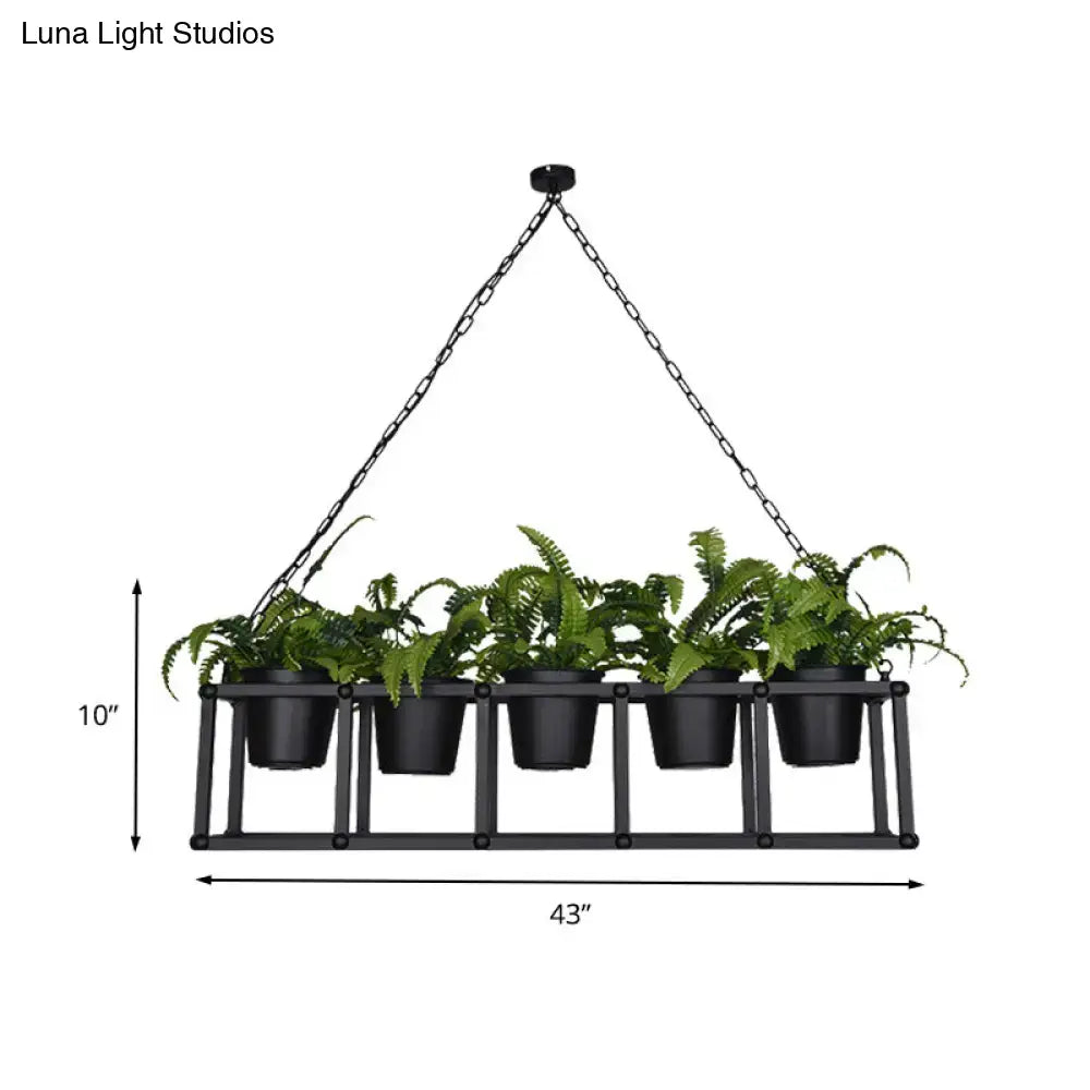 Black metal industrial rectangle island light fixture with five hanging black pots holding green ferns plant decor