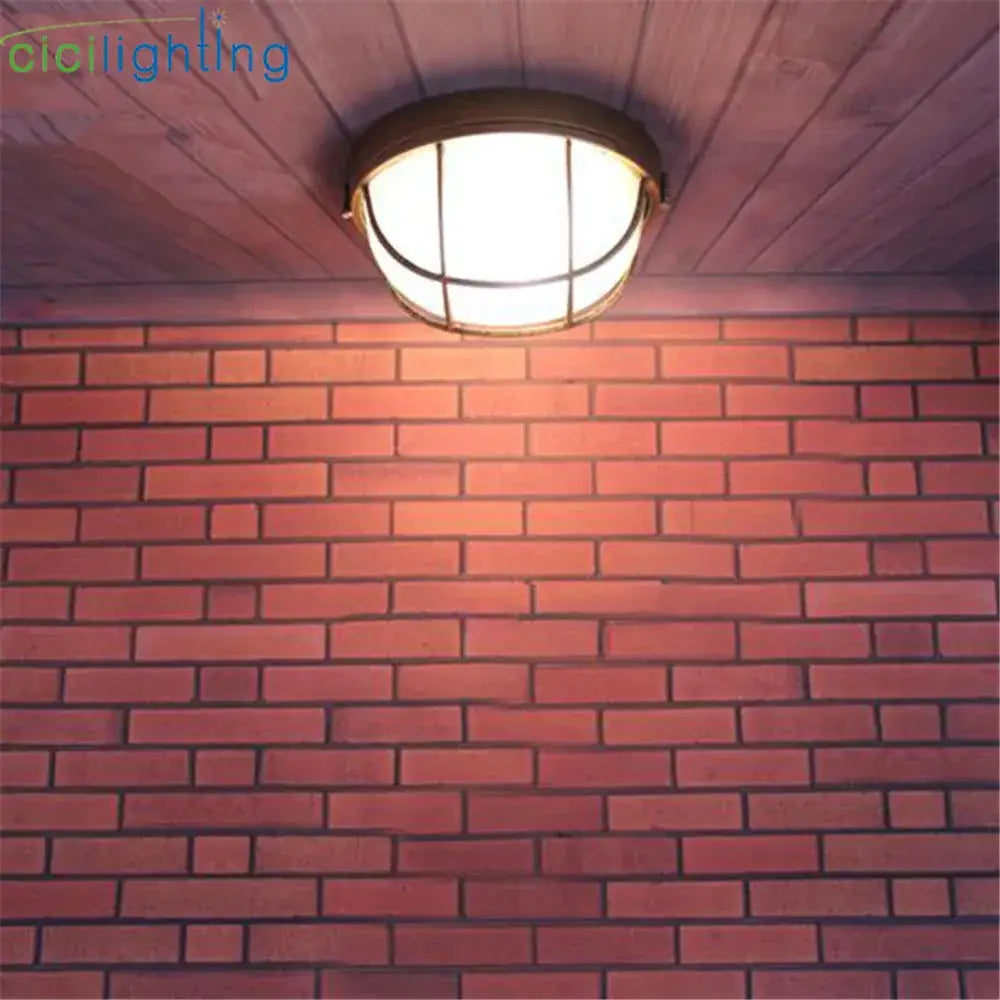 Brass-finished industrial bronze metal cage outdoor ceiling lamp with frosted glass globe for yard lighting