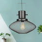 Industrial Mesh Cage Pendant Light - Black Metal Single Lamp for Living Room Hanging, with Shade