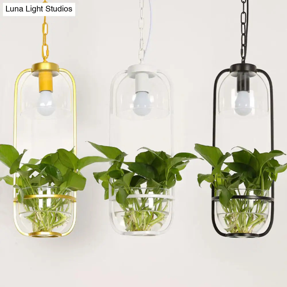 Iron Hanging Farmhouse LED Pendant Lamp in Black/White/Gold with Warm/White Lighting and Plant Pot