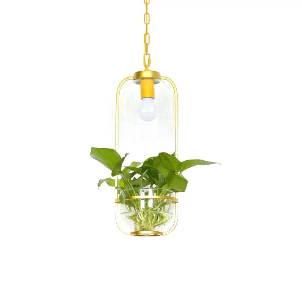 Iron Hanging Farmhouse LED Pendant Lamp in Black/White/Gold with Warm/White Lighting and Plant Pot