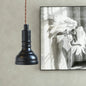 Iron Industrial Pendant Light Kit with Black Suspension and 1 Bulb