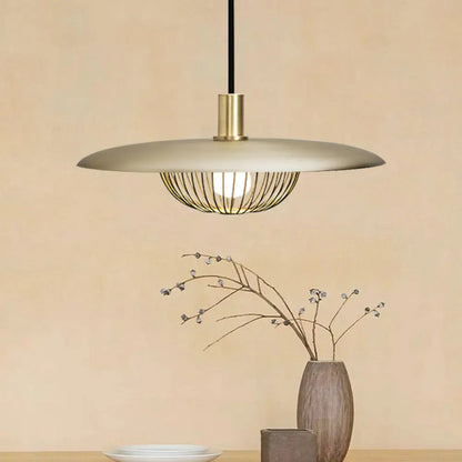 Iron Wire Domed Pendant Light with Wooden Shade - Modern and Suspended Lighting