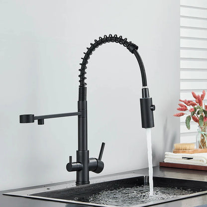 Black matte single hole kitchen faucet with flexible coiled gooseneck spout and dual pull-down water filter tap