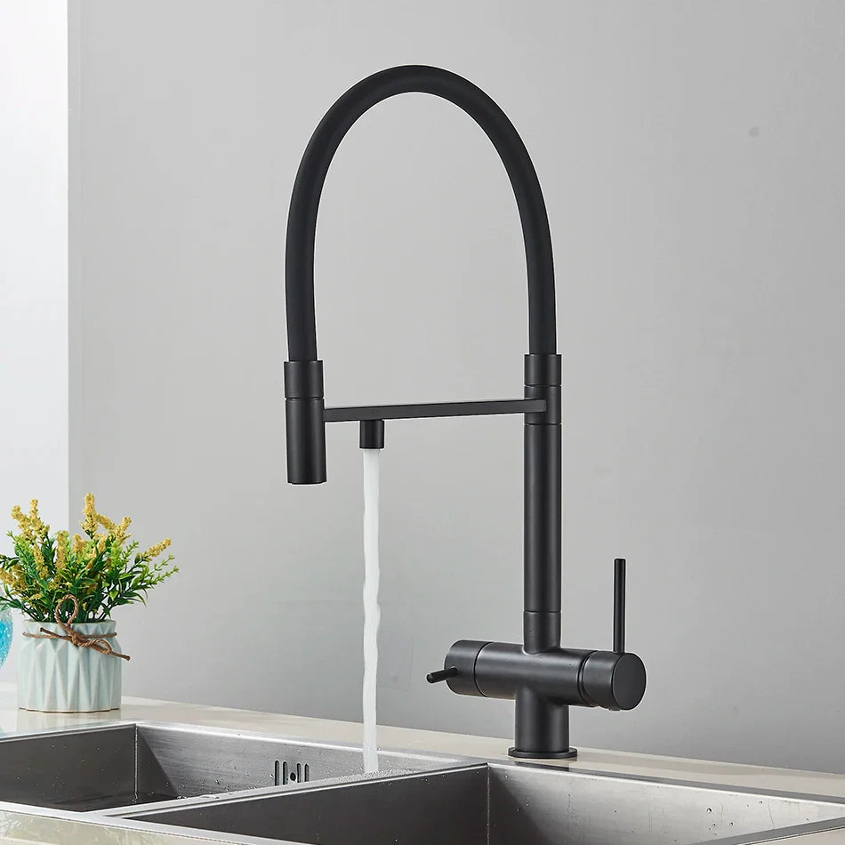 Black matte single hole kitchen water filter faucet with curved spout pull-down spray head for drinking water purification